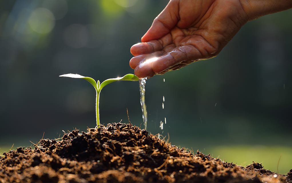 Church Planting